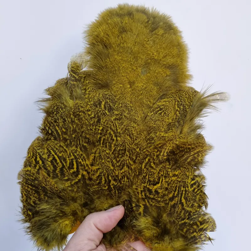 Whiting Coq de Leon Hen Soft Hackle with Chickabou in Speckled Yellow-9